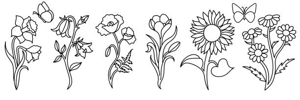 illustrations, cliparts, dessins animés et icônes de fleur sauvage dans un style de dessin au trait dessiné à la main. - daffodil flower silhouette butterfly