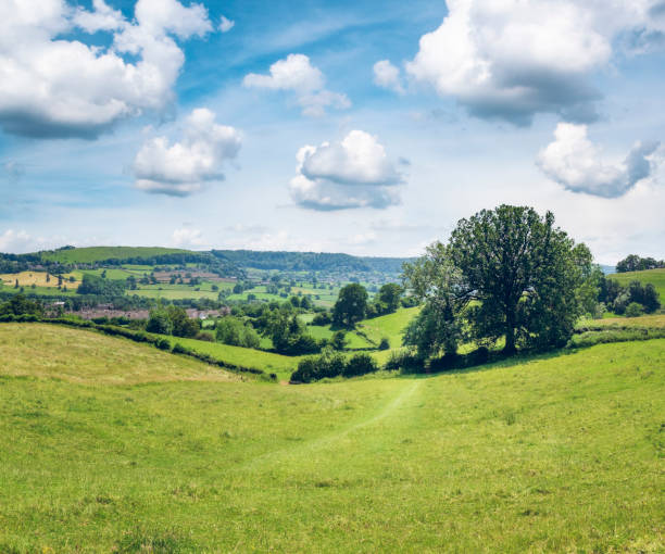 istock Countryside View On A Summers Day 1326337502