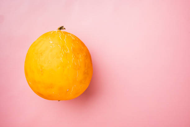 Cantaloupe melon studio isolated.