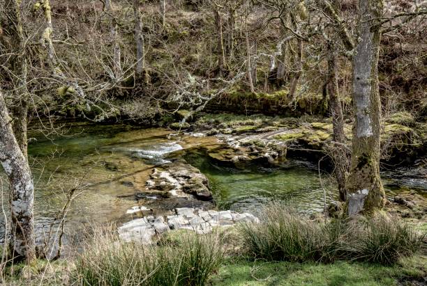 istock Freshwater Pool Of Rural Hawick. 1326338373