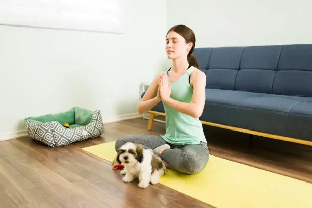 Photo of Calm woman meditating next to her puppy