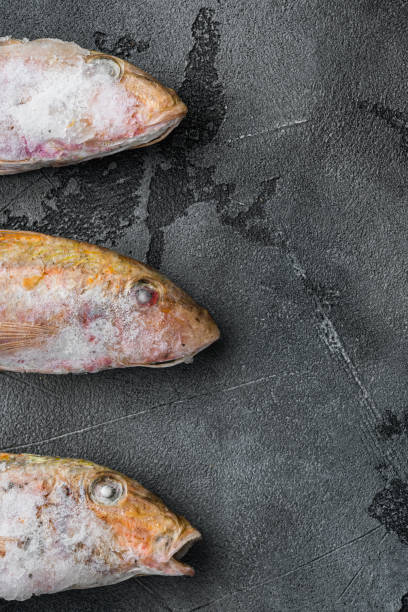 Frozen Goatfish raw fish, on gray stone table background, top view flat lay , with copy space for text