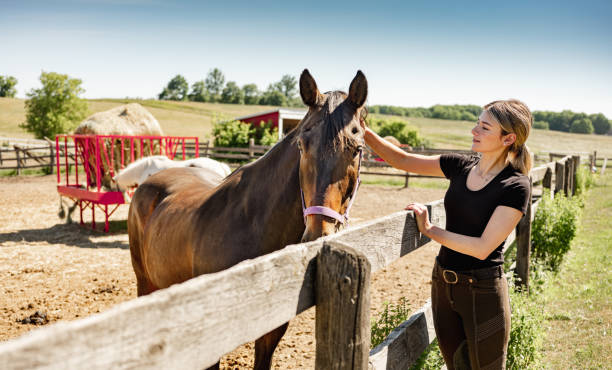 istock Young female trainer with her horse 1326339580