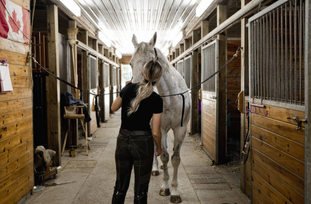 istock Young female trainer prepping her horse 1326339629