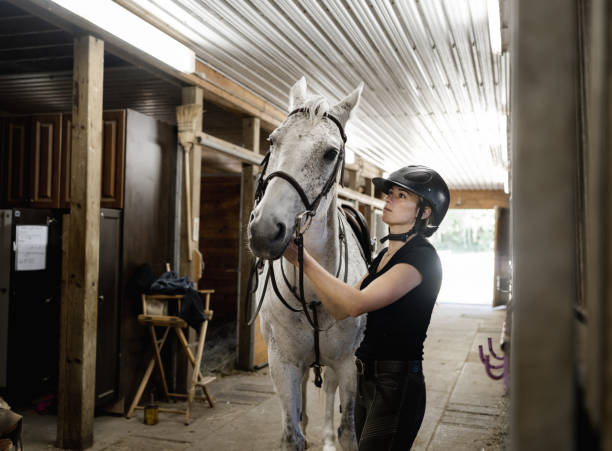 istock Young female trainer prepping her horse 1326339793