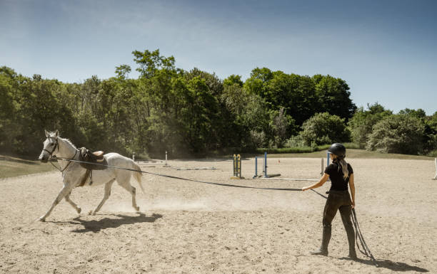 istock Young female trainer exercising her horse 1326339905
