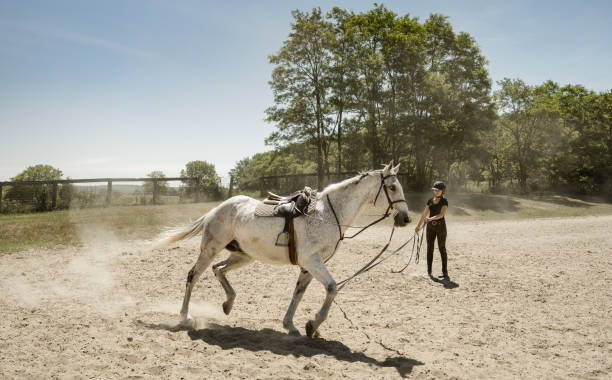 istock Young female trainer exercising her horse 1326339924
