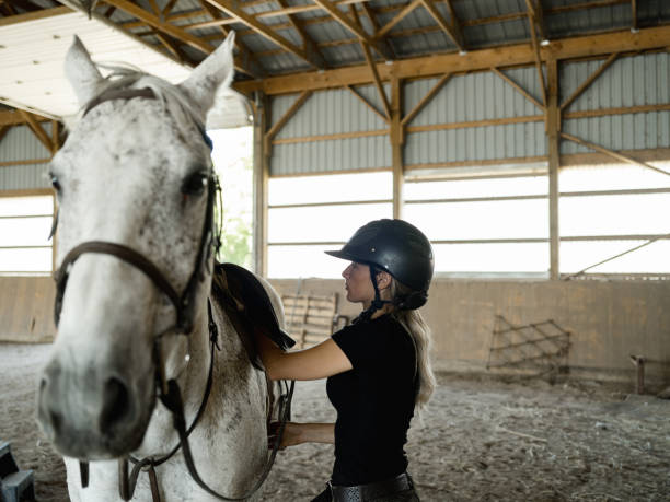 istock Young female trainer prepping her horse 1326339952