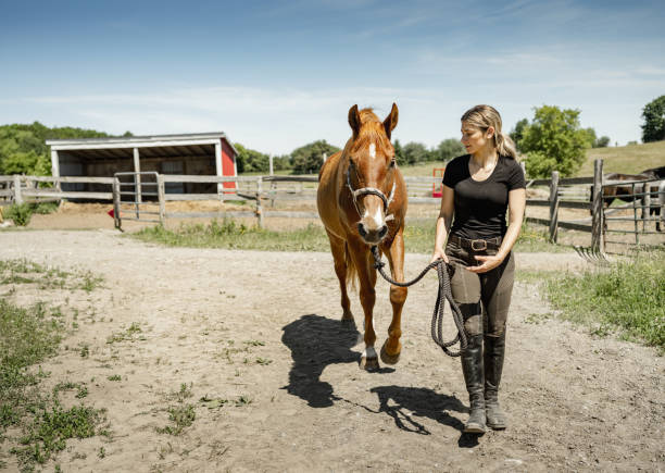istock Young female trainer with her horse 1326340143