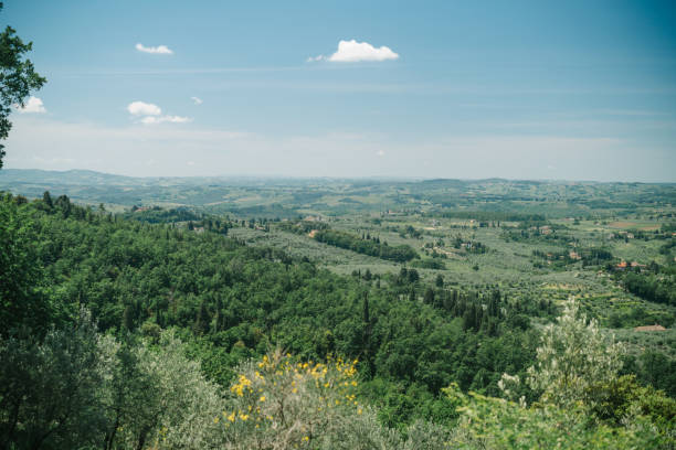 istock Overview of Tuscan countryside 1326341632