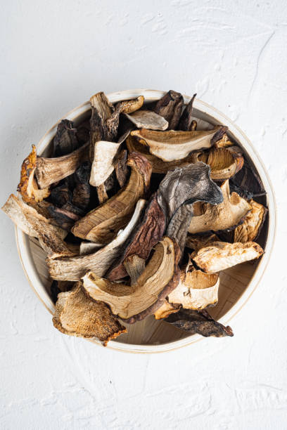 Set of dried mushrooms, on white background, top view flat lay