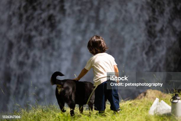 大きな滝でペットの犬を持つ若い女の子の背面図