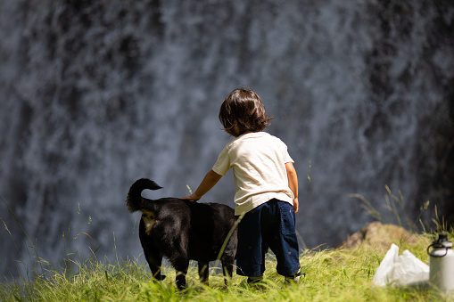 A young mixed race girl in the outdoors on a grassy field with a large waterfall out of focus behind her. Rear view of her petting her pet dog.