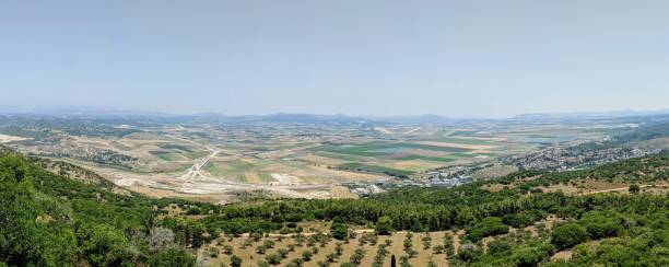 istock Vineyard of God 1326349957