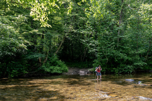 istock Shin deep in creek crossing 1326352524