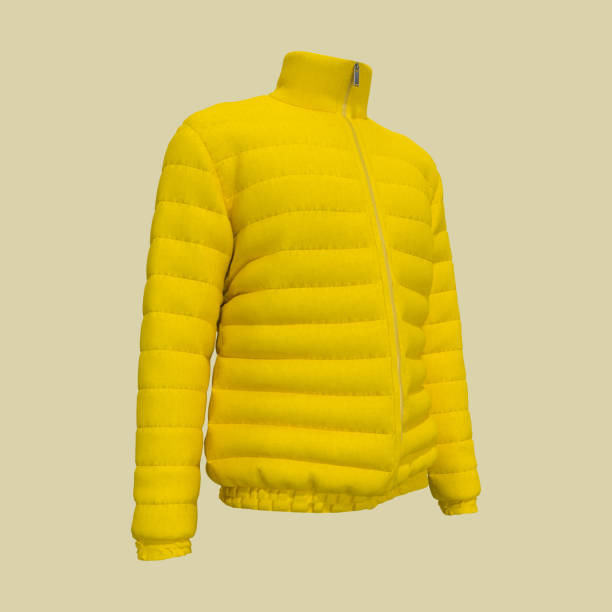 istock Men's warm sport puffer jacket isolated over white background 1326353996