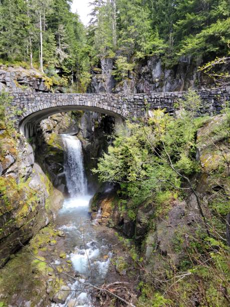 istock Christine Falls, Mount Rainier National Park 1326356604