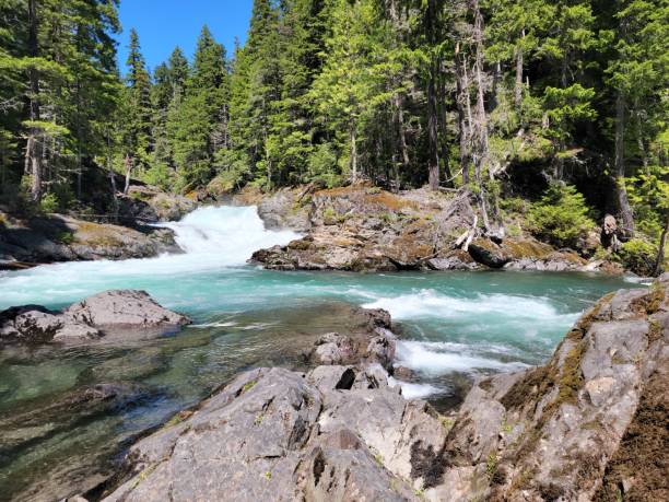 istock Upper Silver Falls, Mount Rainier National Park 1326356605