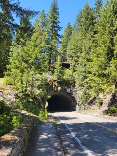 istock Mountain Tunnel at Mount Rainer National Park 1326356651