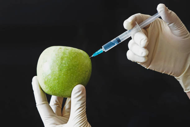 strzykawka utknęła w jabłku w ręku na czarnym tle. pojęcie genetycznie zmodyfikowanych warzyw i owoców - genetic modification hormone apple syringe zdjęcia i obrazy z banku zdjęć