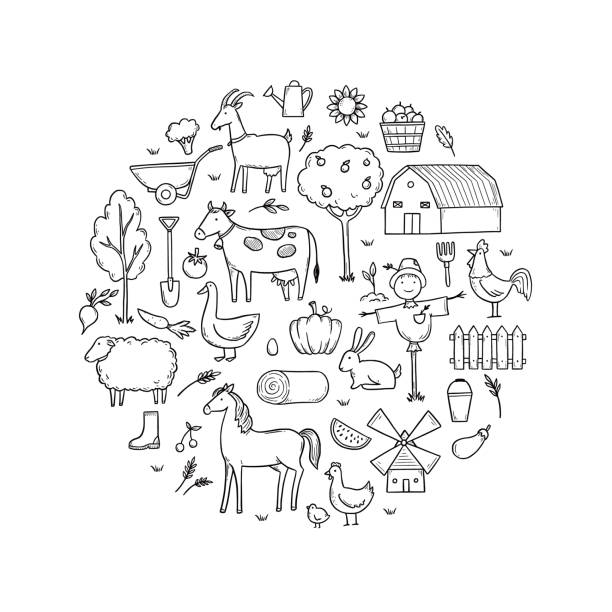 Hand drawn set farm animal, farmer food Hand drawn set farm animal, horse, cow, farmer food. Doodle sketch style. Agriculture life background, icon. Isolated vector illustration. farmer drawings stock illustrations