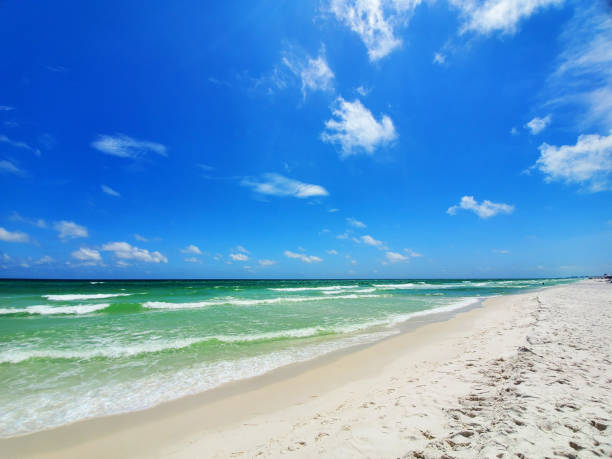 istock Northwest Beaches of Florida 1326365926