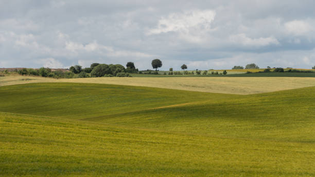Rolling pastoral farm land in Denmark.
