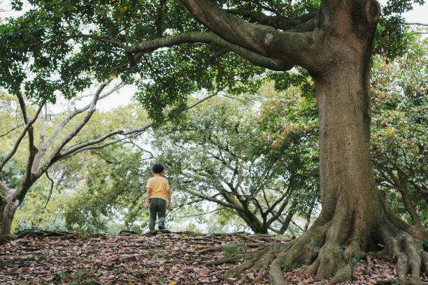 istock Asian boy playing in the park 1326370453