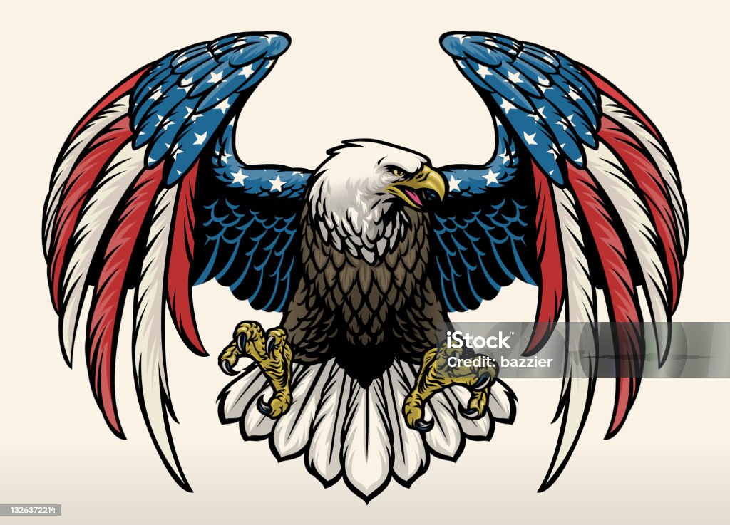 kahladler mit Amerika Flagge Farbe - Lizenzfrei Adler Vektorgrafik