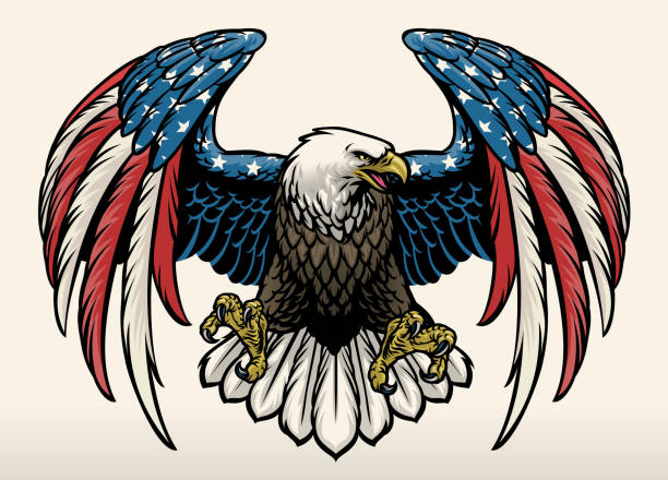 ilustraciones, imágenes clip art, dibujos animados e iconos de stock de águila calva con el color de la bandera de américa - bald eagle