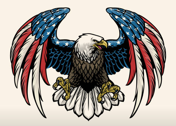 illustrazioni stock, clip art, cartoni animati e icone di tendenza di aquila calva con america bandiera colore - patriotism