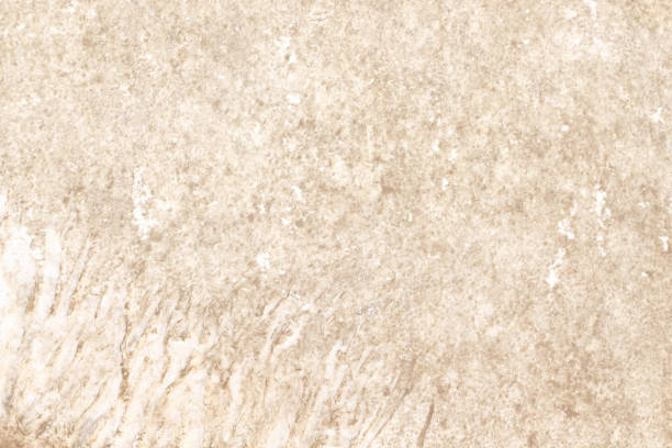 istock Close up leather texture of drum light brown old background 1326372865