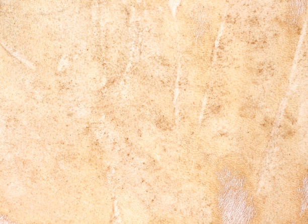 istock Old leather texture of drum light brown background 1326373852