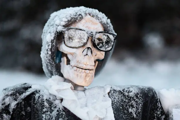 Photo of Decorated skeleton outside under snow.