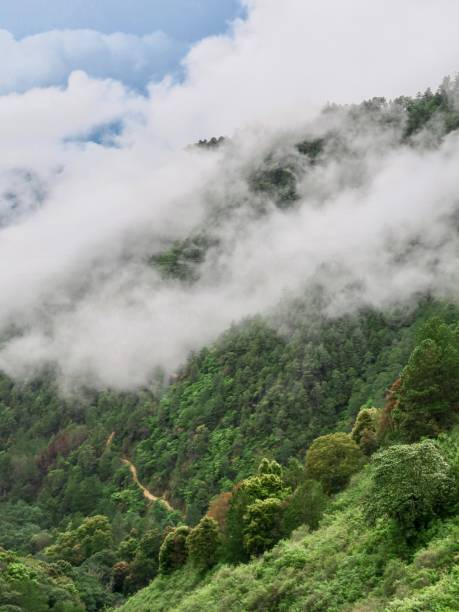 istock A Trail in Misty Paradise 1326379473