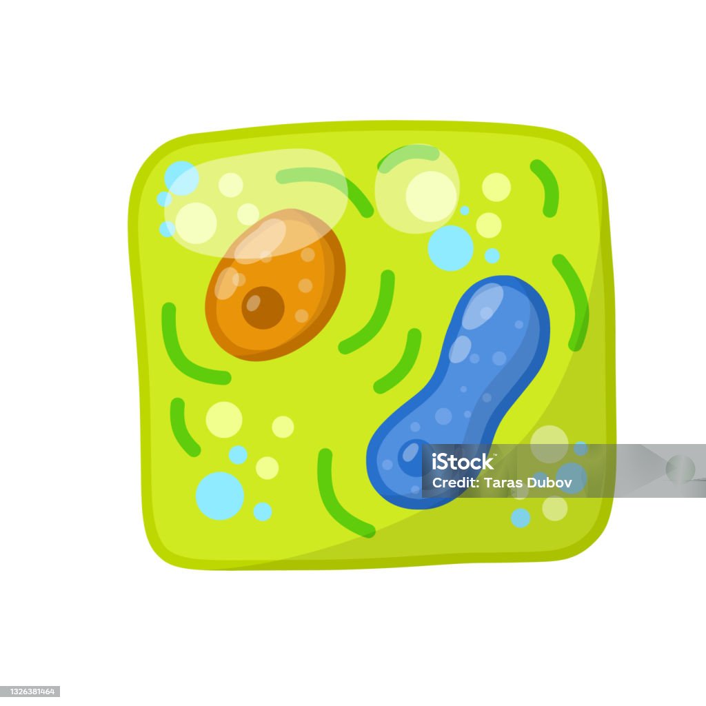 Green Cell Of The Plant Element Of Science And Biology Stock Illustration -  Download Image Now - iStock