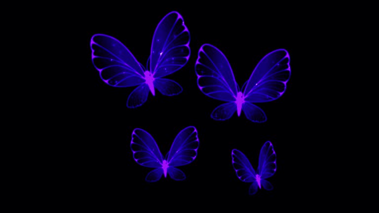 143 Butterfly Line Art Stock Videos and Royalty-Free Footage - iStock | Monarch butterfly line art 143 Butterfly Line Art Stock Videos and Royalty-Free Footage - iStock | Monarch butterfly line art