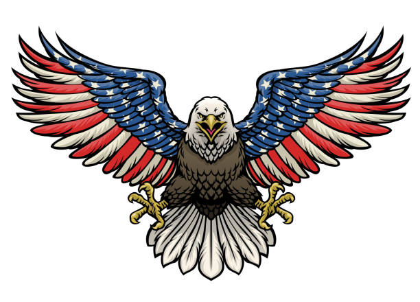 американский флаг окрашен лысый орел - big country stock illustrations