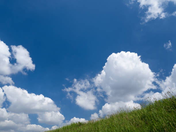 istock Early summer blue sky and meadow 1326388568