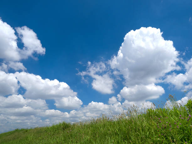 istock Early summer blue sky and meadow 1326388572