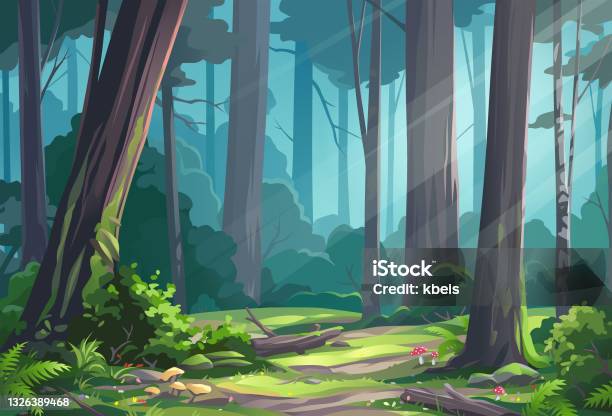 Beautiful Sunlit Forest-vektorgrafik och fler bilder på Skog - Skog, Liten skog, Träd