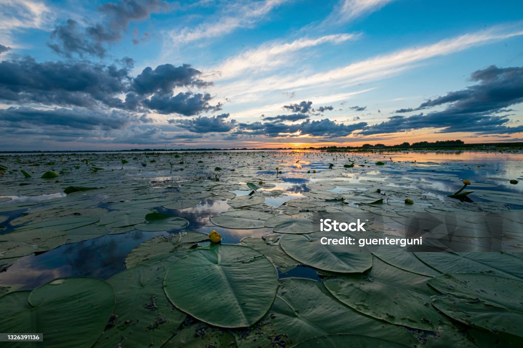 Sunset in the Danube Delta Sunset in the Danube Delta. 

The Danube Delta (Romanian: Delta Dunării) is the second larges river delta in Europe, it is listed as a World Heritage Site. The larger part of the Delta is belonging to Romania, a smaller part to Ukraine. Danube River Stock Photo