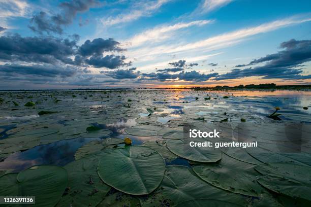 Sunset In The Danube Delta Stock Photo - Download Image Now - Danube River, Romania, Delta