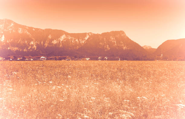 German village with a church in a meadow at the foot of the Bavarian Alps at dawn in a contemporary style.