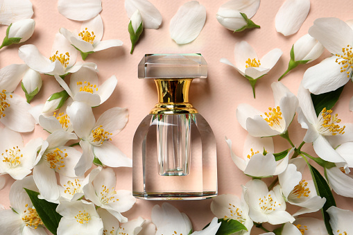 Botella de perfume de lujo y flores de jazmín fresco sobre fondo beige, lay plana photo