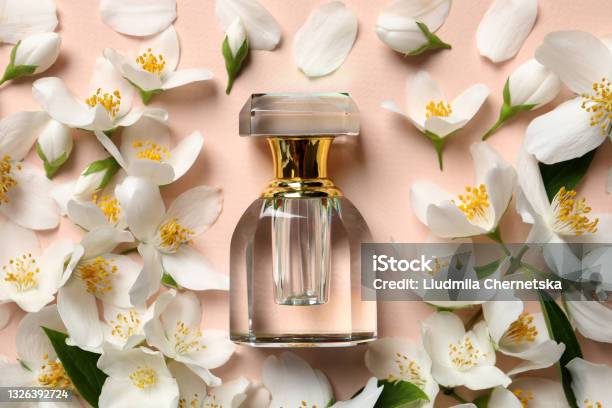 Bottle Of Luxury Perfume And Fresh Jasmine Flowers On Beige Background Flat Lay Stock Photo - Download Image Now