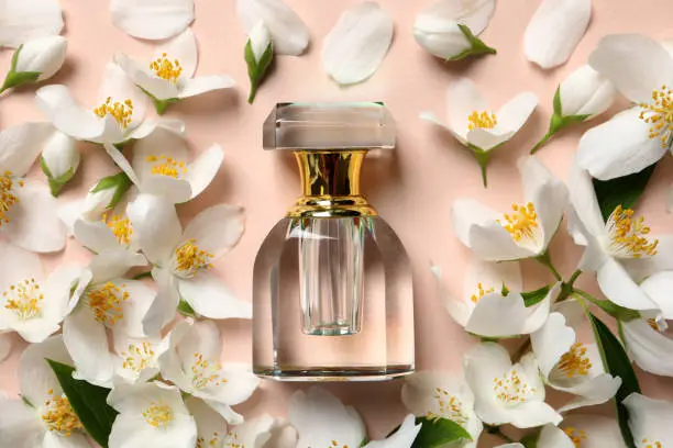 Photo of Bottle of luxury perfume and fresh jasmine flowers on beige background, flat lay