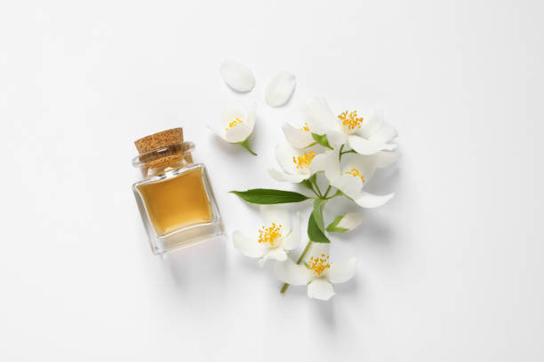 istock Jasmine essential and fresh flowers on white background, top view 1326392836