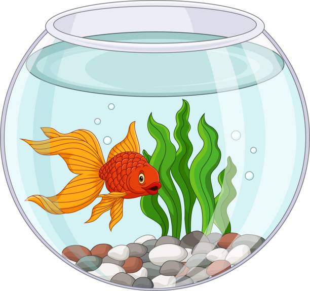 illustrations, cliparts, dessins animés et icônes de poisson rouge de dessin animé nageant dans fishbowl - natural pool fish sea water