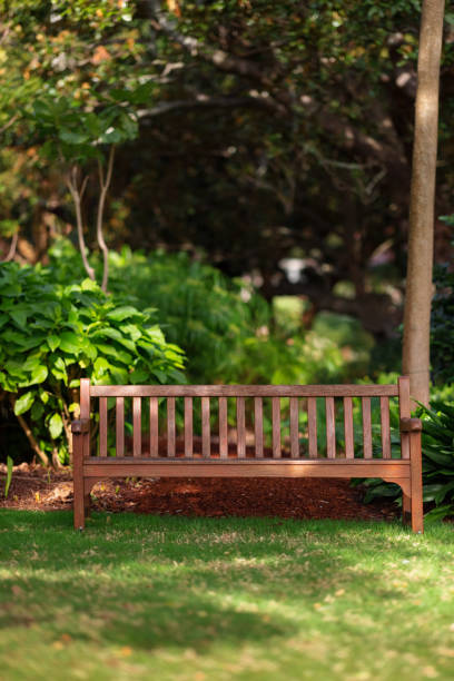 istock Wooden bench in a public garden 1326392904